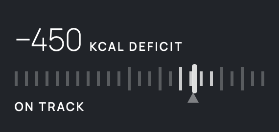 The rectangular Lock Screen accessory in white on a dark ground: 450 KCAL DEFICIT above a row of ticks with a brighter marker, and the words ON TRACK.
